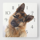 Search for german shepherd clocks dogs
