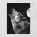 Search for bw postcards Animals