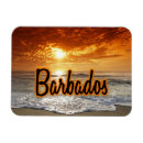Recherche de les barbade magnets Vacances