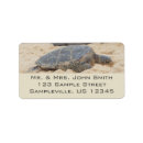 Search for shore return address labels Nature