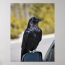 Search for black mirror posters Animal