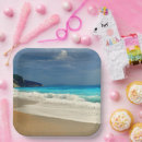 Search for photography plates Summer