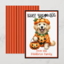 Search for dog halloween cards Golden retriever