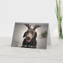 Recherche de laboratoire vœux cartes Plage