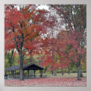 Search for autumn in the park posters Nature
