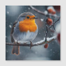 Search for robin christmas cards Red