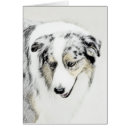 Recherche de le berger australien cartes postales Australishepherd