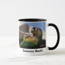 Search for conure kitchen dining Animals