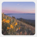 Search for california state parks stickers Scenic