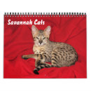 Search for cat calendars Savannah