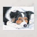 Recherche de de border collie cartes postales Canin