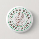 Search for borneo buttons Primate
