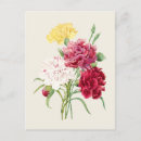 Recherche de illustrations botaniques cartes postales Pour tous