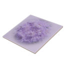 Search for ageratum Floral
