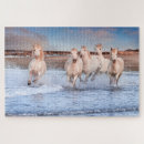 Recherche de cheval blanc puzzles Chevaux