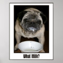 Search for funny milk posters Dog