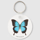 Search for blue ring buttons Butterflies