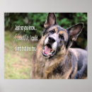 Recherche de chien de berger posters Photographie