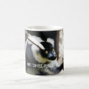 Search for lemur photography Wildlife