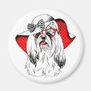 Search for yorkies magnets Cute