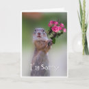 Search for please forgive me cards Flowers