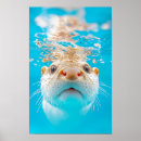 Search for environment posters Animal
