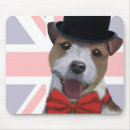 Recherche de jack russell tapis souris Animaux