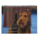 Search for welsh Terrier