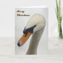 Search for swans christmas cards Bird