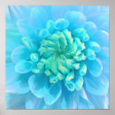 Search for turquoise flowers posters Floral