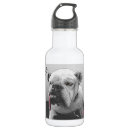 Search for motivational water bottles Back to school