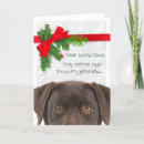 Recherche de chocolate labrador christmas cards Récupérateur