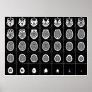 Search for scan posters Head