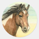 Search for paint horse stickers Wild
