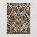 Search for the snake postcards Snakeskin