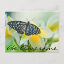 Search for swallowtail postcards Flower