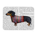 Recherche de teckels magnets Animaux