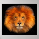Recherche de mane posters Lion