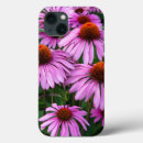 Search for coneflowers iphone cases Garden