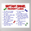 Search for brittany dog posters Cute