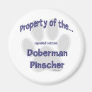 Search for pinscher magnets Dobe