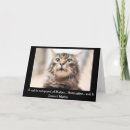 Search for maine coon cards Funny