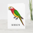 Search for red parrot cards Colourful