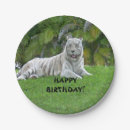 Search for white tiger paper plates Wild animals