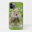 Recherche de écureuils iphone coques Écureuil mignon