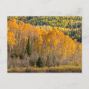 Search for slate postcards Mountain
