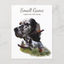 Search for bird dog postcards Hunter