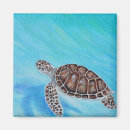 Search for turtle magnets Blue