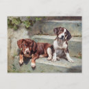 Recherche de chien vintage cartes postales Antique