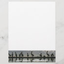 Search for write photography Wildlife